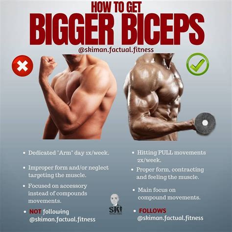 How To Get Bigger Biceps If Youve Been Struggling To Get Those Gunsarms Heres A Few Tips