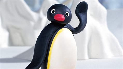 The Penguin News You Need Even Penguins Like Pingu Film Daily