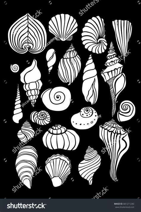 Sea Shells Outline Illustration Collection Isolated Stock Vector