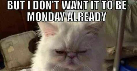 Happy Monday Work Memes The Funniest Reactions Online