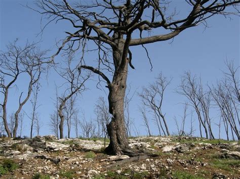 שלמה פיוטרקובסקי , 06/11/2017 10:18 (צילום: אדמה חרוכה - זווית בחינוך