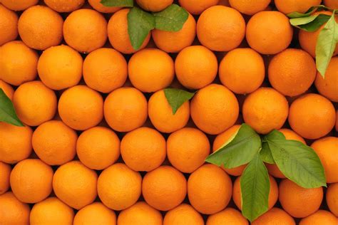 Oranges Free Photo Download Freeimages