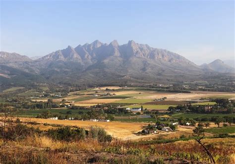 Must Visit Wine Farms In Paarl South Africa