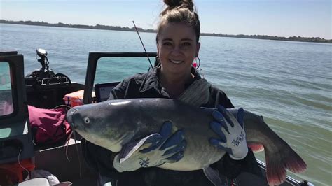 First Of Fall Blue Catfish Milford Lake Kansas Usa Youtube
