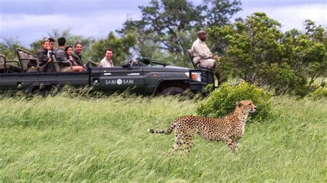 Luxury African Safari Holidays Adventure Hayes And Jarvis