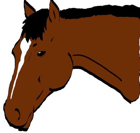 Top 98 Pictures Cartoon Pictures Of Horses Heads Excellent