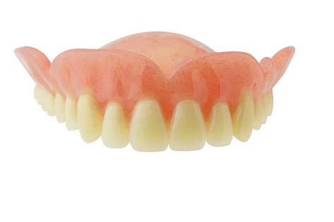 Royalty Free Upper Denture Pictures Images And Stock Photos Istock