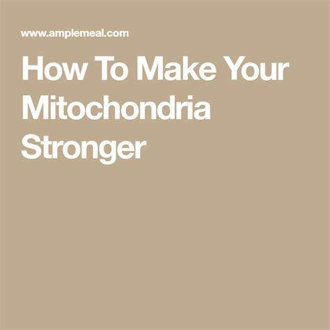 How To Make Your Mitochondria Stronger Mitochondria Make It Yourself