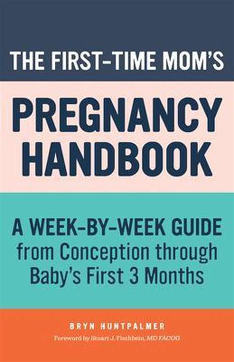 First Time Moms The First Time Moms Pregnancy Handbook Bryn Huntpalmer