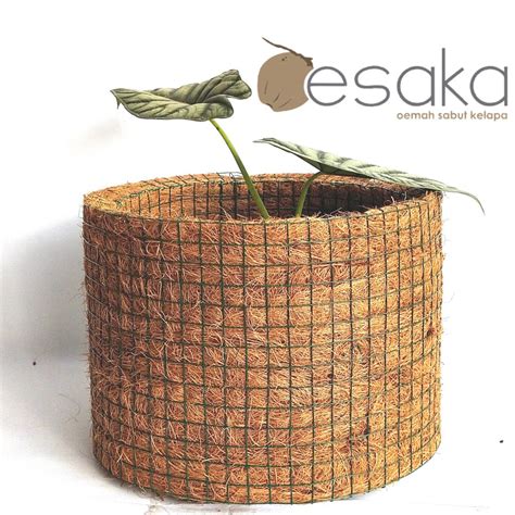Loncat ke navigasi loncat ke pencarian. pot sabut kelapa cover pot tanaman bunga hias unik klasik ...