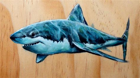 Shark Art Shark Tattoos Shark Painting Riset
