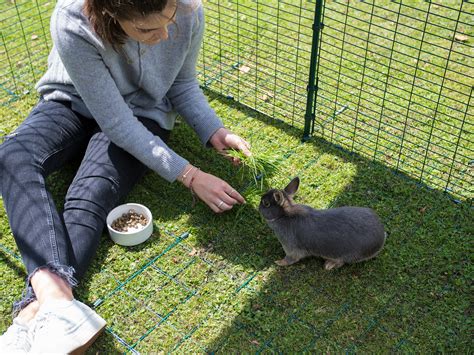Outdoor Rabbit Run Large Outdoor Rabbit Enclosure Omlet