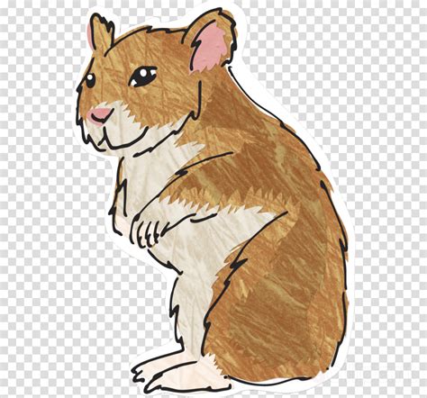 Hamster Clipart Hamster Cartoon Gerbil Transparent Clip Art