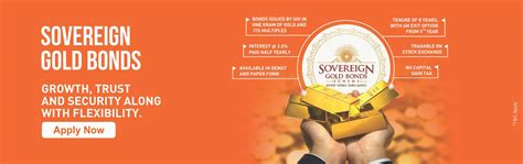 These are sold by the government and are. Sovereign Gold Bond Scheme 2018-19-Series Online in India ...