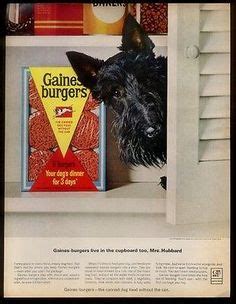 If gaines burgers are odorless, how come dogs can smell them? 1000+ images about Scottie Advertisements on Pinterest ...