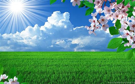 Beautiful Nature Spring Hd Background Wallpaper 17 Hd Wallpapers