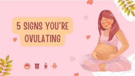 5 Signs Youre Ovulating Signs And Symptoms Of Ovulation Youtube