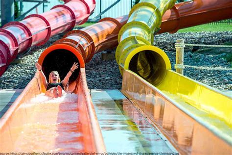 Best Outdoor Water Parks In Missouri Our Top Picks For Summer Fun