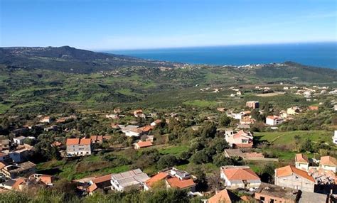 Additional information about tizi ouzou. Tizi-Ouzou/Covid-19: A Tigzirt, l'accalmie se conjugue ...
