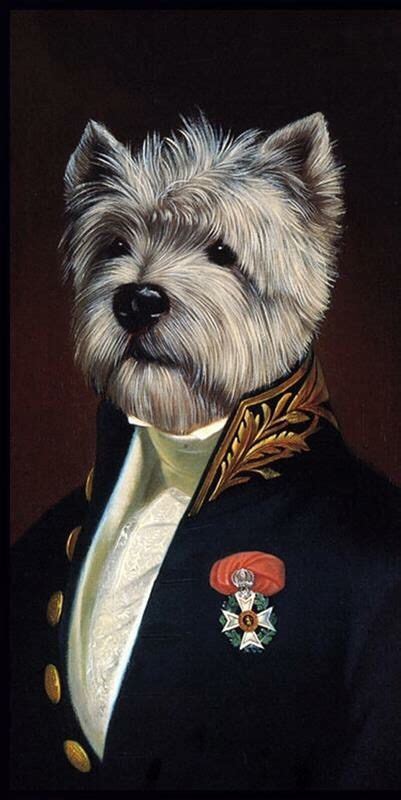 Portrait Of Dog Wearing Uniform Costume Chien Posters Art Prints Fine