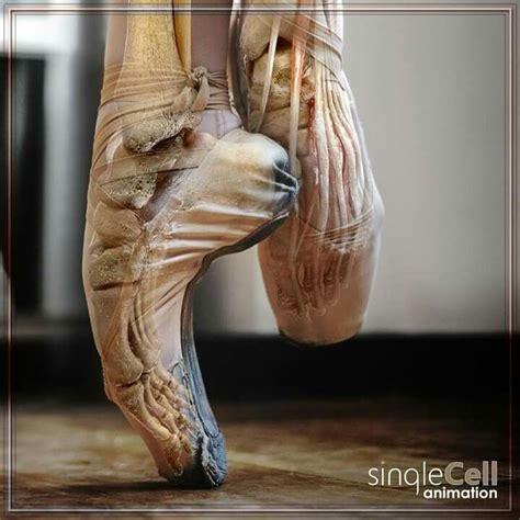 Pin by Marisol Argáez on Dance Ballerina feet Ballet feet Dance