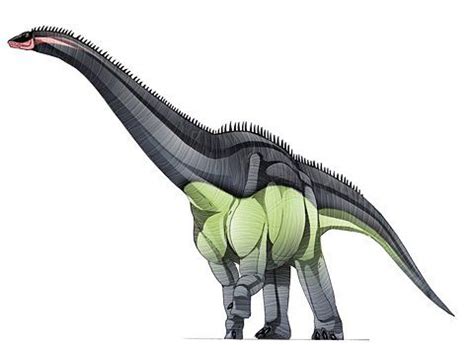 They are dropped by dinosaurs on anachronia. sweet. | Tangvayosaurus.jpg (JPEG Image, 800x583 pixels) | Paleo art, Dinosaur pictures ...
