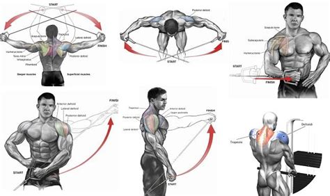 Shoulders Cable Exercises Cable Workout Back Cable Workout Shoulder