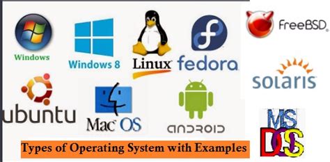 Explain Different Types Of Operating Systems With Examples