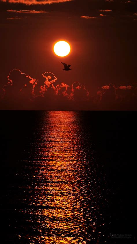 En ciertos casos, puedes retirar el papel tapiz sin necesidad de utilizar ningún otro producto. 1080 x 1920 Fondos de pantalla amanecer - Imágenes de ...