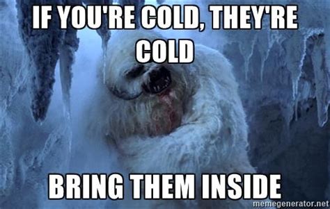 Bring Your Wampas Inside If Youre Cold Theyre Cold Know Your Meme