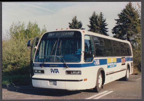 Pioneer Valley Transit Authority Pvta Gmc Coach 3022 Bus Snapshot 1987