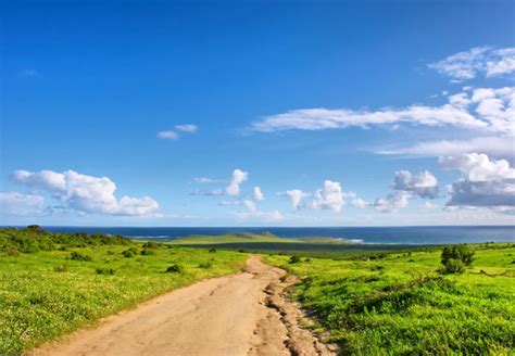 Cape West Coast Biosphere Reserve Western Cape