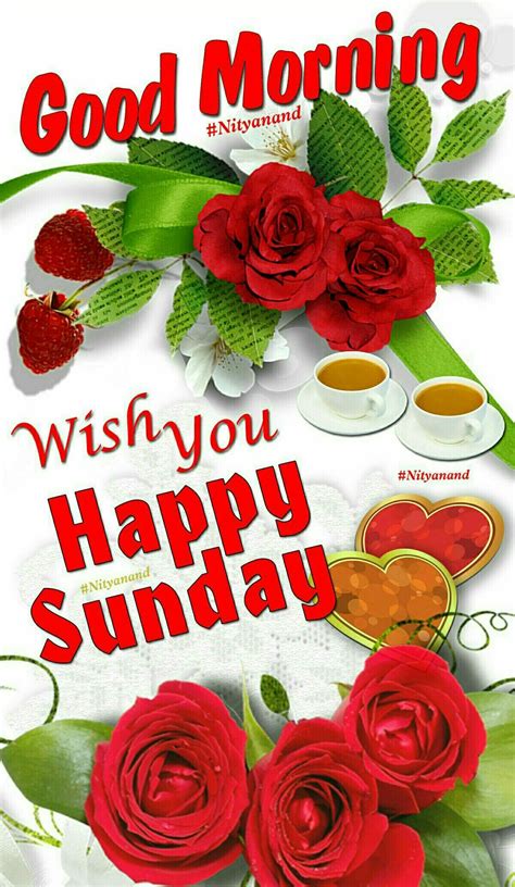 Good Morning Happy Sunday Images Wishes Blessings