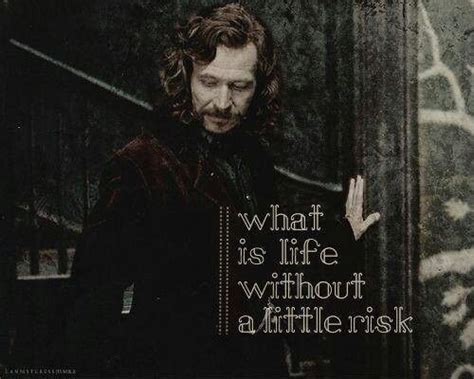 Sirius Black Harry Potter Quotes Harry Potter Harry Potter Love