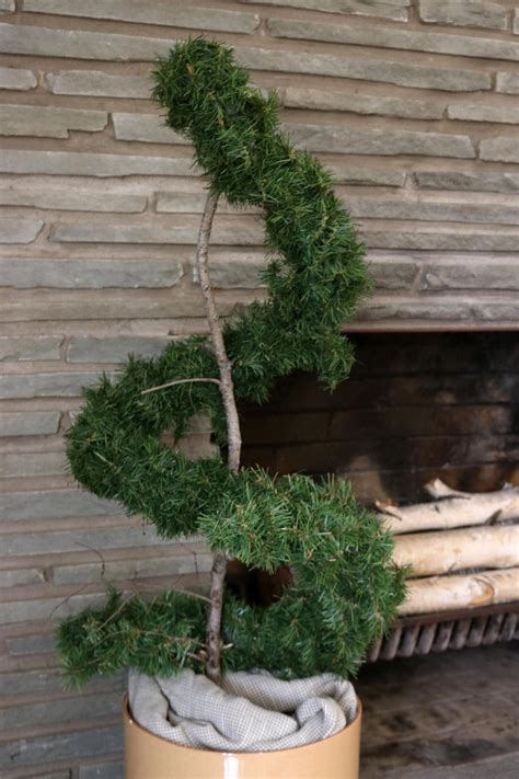 How to grow your own topiary? Learn How to Make an Evergreen Spiral Topiary | how-tos | DIY