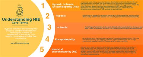 What is hie in medical terms. Hypoxic-Ischemic Encephalopathy (HIE) | HIE Help Center