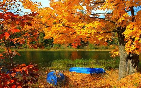 Hd Wallpaper Lake Boat Trees Fall Grass Yellow Red Leaves Nature