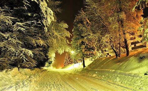 Photography Nature Landscape Winter Trees Night