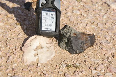 Dhofar 1658 4601 Gram Polandmet Meteorites