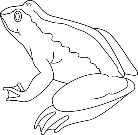 Frog Coloring Page Free Clip Art
