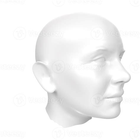 Free 3d Rendering Of Human Bust 18066155 Png With Transparent Background