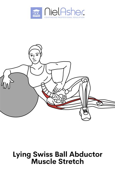 Lean On Your Side On A Swiss Ball And Place One Leg Straight Out To The