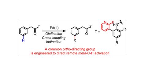 Pd Catalyzed Remote Meta Ch Functionalization Of Phenylacetic Acids