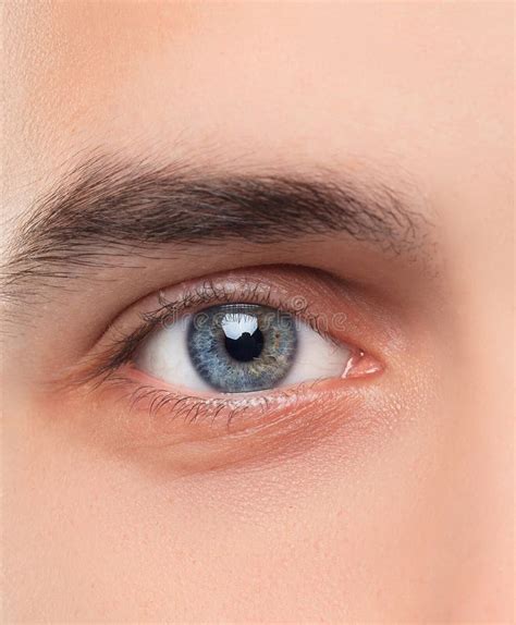 Beautiful Blue Man Eye Close Up Stock Image Image Of Male Fresh