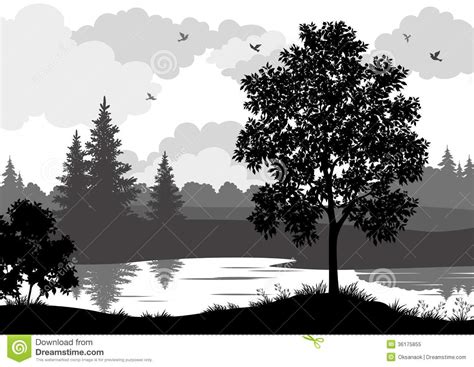 Landscape Trees River And Birds Silhouette Stock Vector