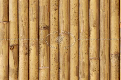 Bamboo Texture Seamless 12270