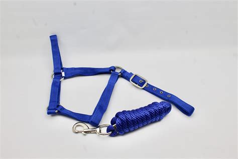 Nylon Halter And Lead Rope Set Royal Blue Super Horse Saddlery