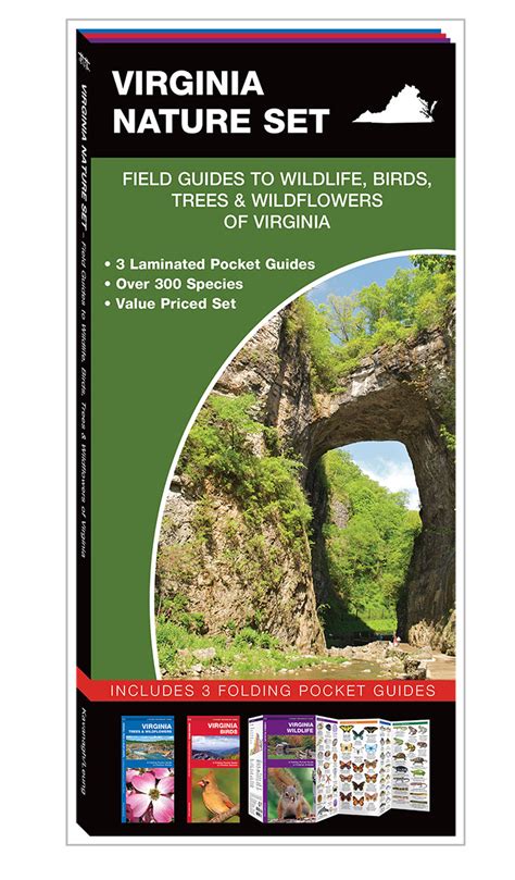 Virginia Nature Set Field Guides To Wildlife Birds Trees