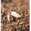 Cardamom Seeds About Nutrition Data Photos Where Found And 338 Recipes