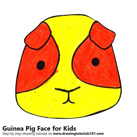 Learn How To Draw A Guinea Pig Face For Kids Animal Faces For Kids